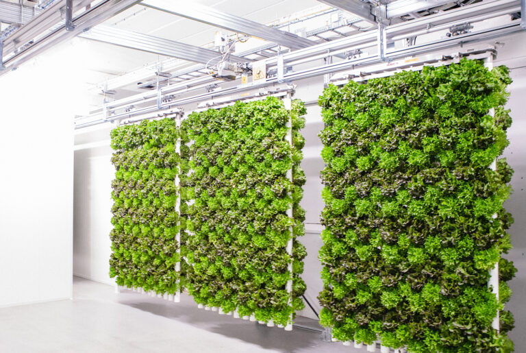 Vertical farming