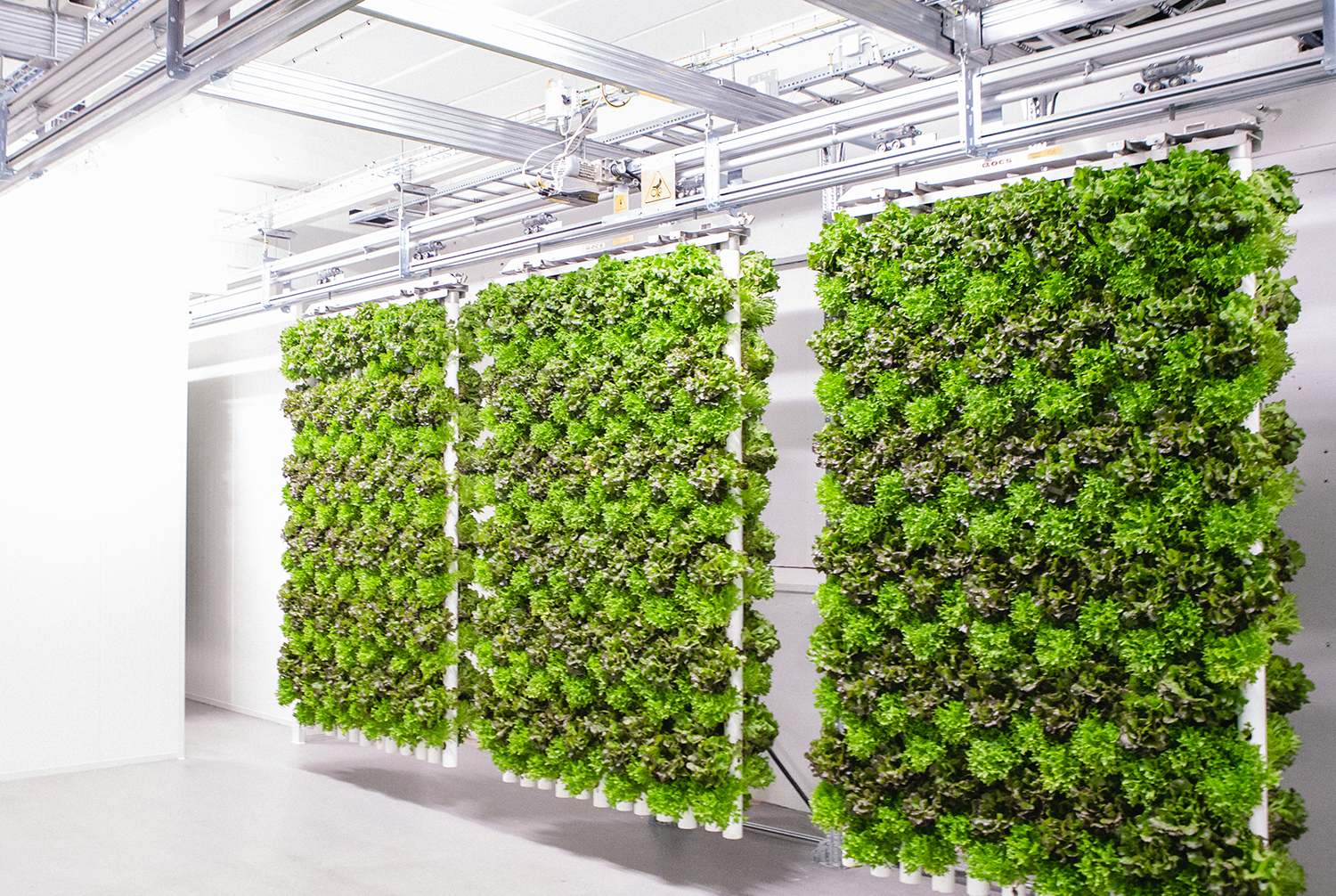 Vertical farming